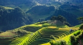 Les rizières en terrasse de Mu Cang Chai